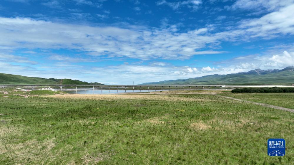 开心川麻365送体验卡